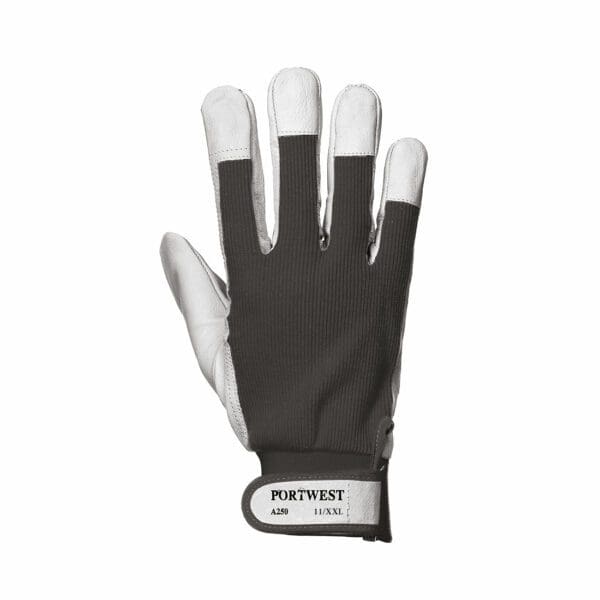 Tergsus Glove