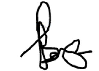 neilsignature