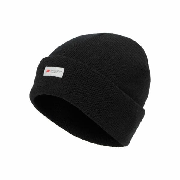 401 - Thinsulate Beanie