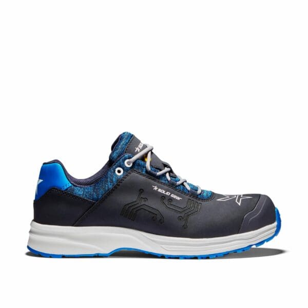 Sea Shoe