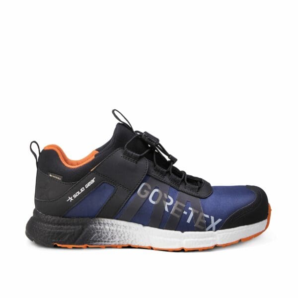 Revolution 2 GTX Shoe