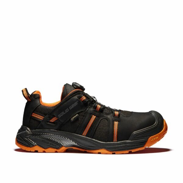 Hydra GTX Shoe