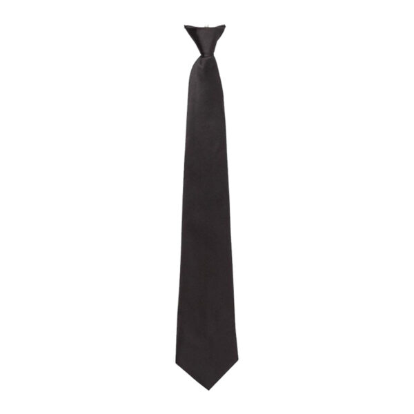 Clip On Tie - DS01
