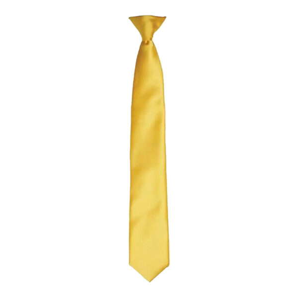 Clip On Tie - DS01 - Image 2