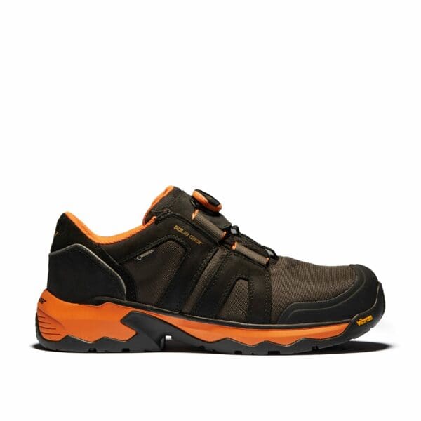 Tigris GTX AG Low Shoe