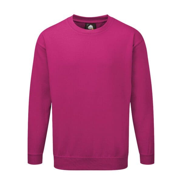 Kite Sweatshirt - Image 10