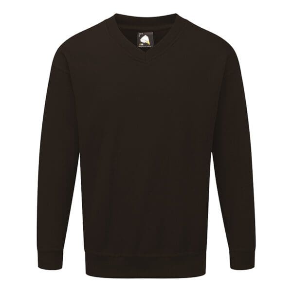 Buzzard V-Neck Sweatshirt
