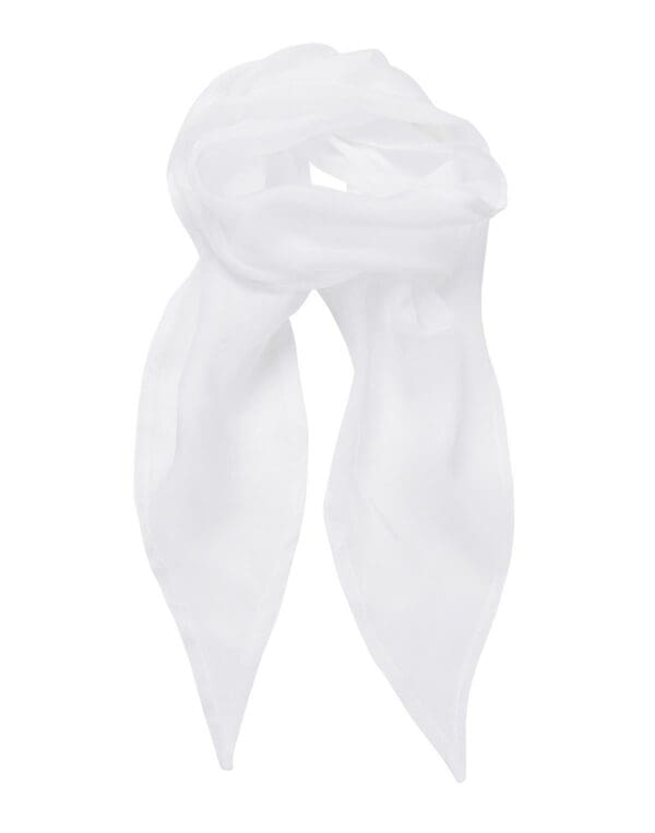'Colours Collection' Plain Chiffon Scarf - Image 4