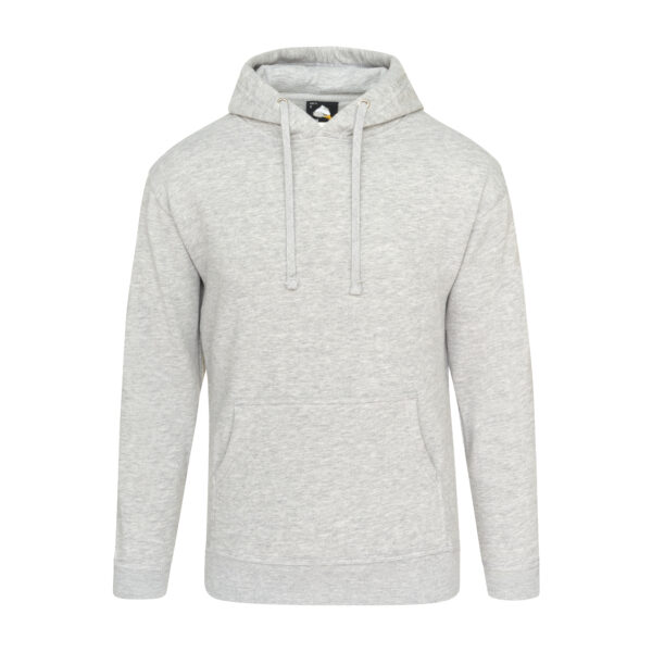 Premium Hoodie - Ash Grey