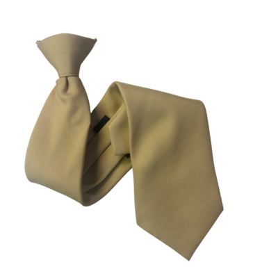 Gold Clip On Tie